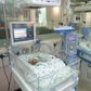 Deadly disease kills 11 babies at KNH