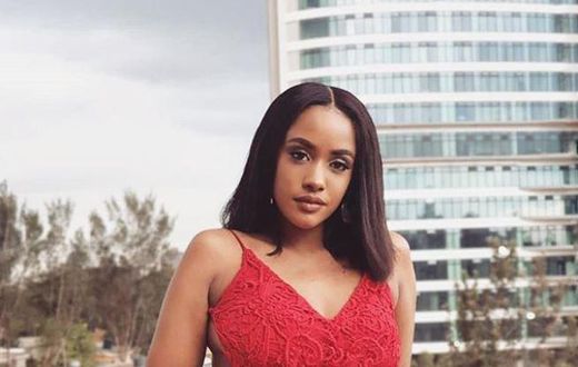 Tanasha Donna's response after being asked to confirm pregnancy upon landing in Tanzania