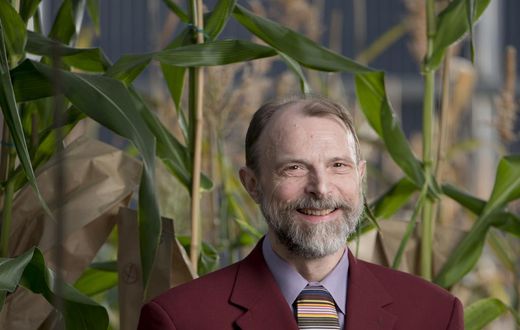 Joachim Messing, 73, Who Charted the DNA of Viruses and Plants, Dies