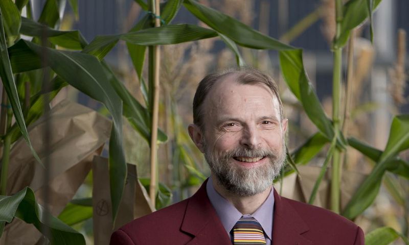 Joachim Messing, 73, Who Charted the DNA of Viruses and Plants, Dies