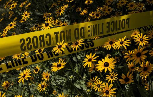 How a Nanny's Adventure in the U.S. Ended in Bloodshed