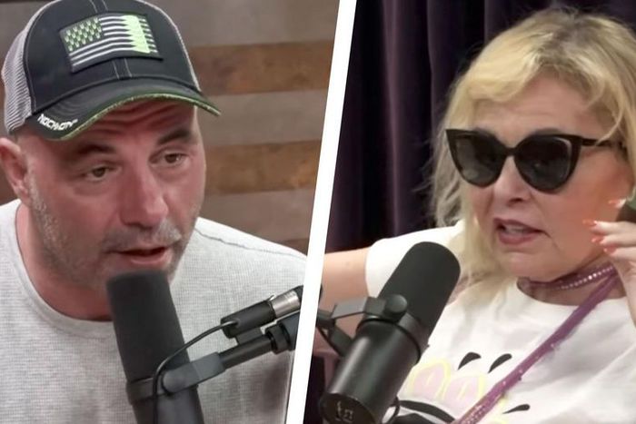 Roseanne Barr Says Comics Didn't Stick Up for Her