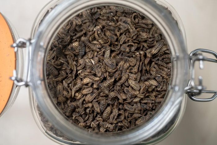 Waste Not -- if You Want to Help Secure the Future of the Planet