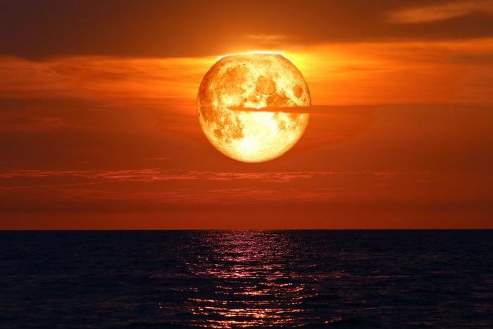 What The New Moon And Solar Eclipse In Cancer Mean