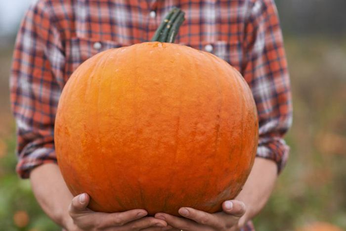 Is Eating Pumpkin Actually Healthy?