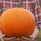 Is Eating Pumpkin Actually Healthy?