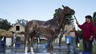 'She Always Looked Out for Us': the Glamorous Patron of Stablehands