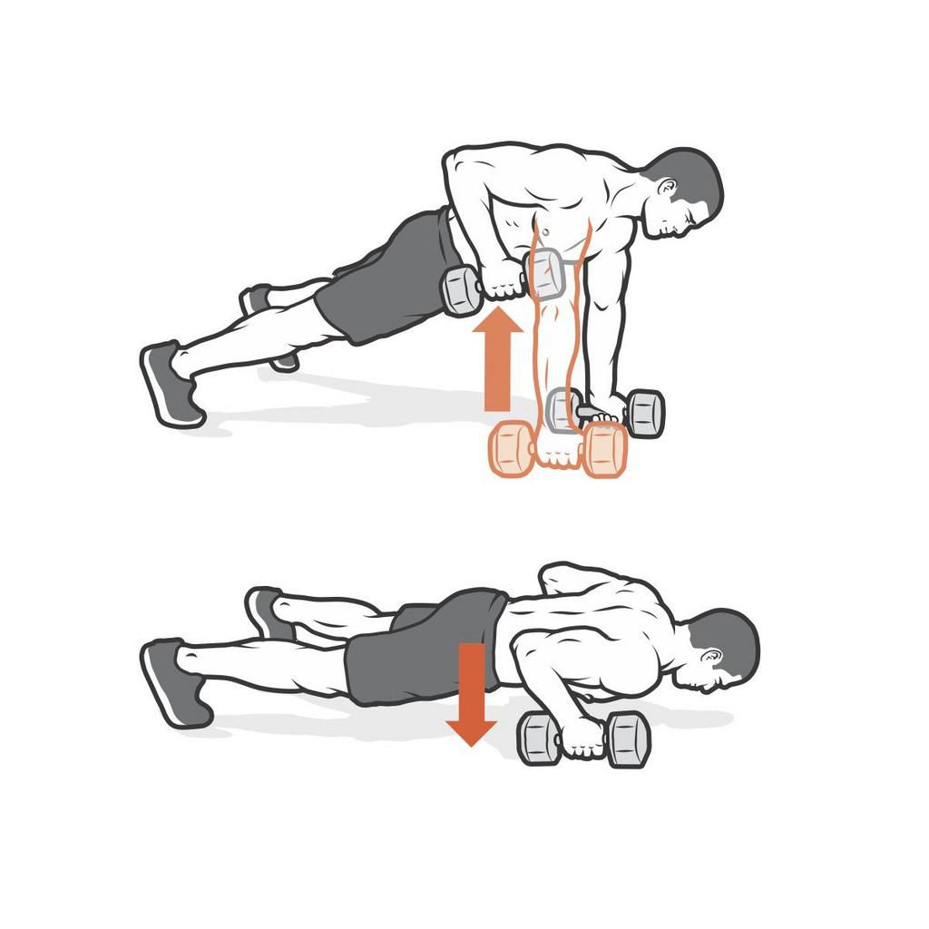 Build Muscle at Home With This Dumbbell Workout