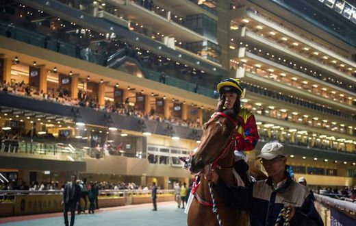 Horseracing is hugely popular in gambling-mad Hong Kong