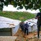 Ukhiya was home to around 300,000 people, but the refugee influx of August 2017 has swelled the population to more than three times that many