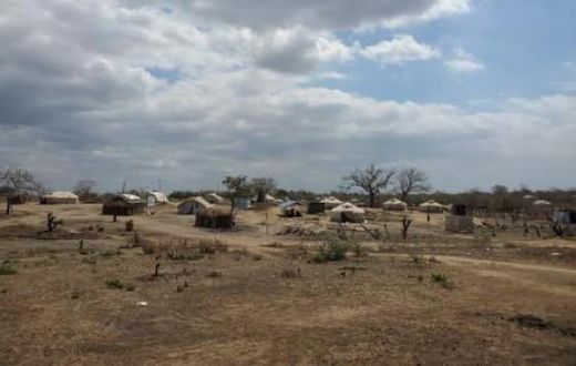 International Organization for Migration (IOM)