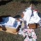 Coffins Homa Bay couple used to bury dolls claiming that their twins had died (Nation)