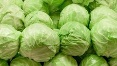 Cabbage(Jesmond Fruit Barn)