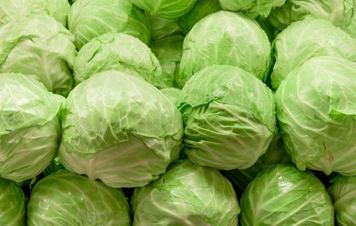 Cabbage(Jesmond Fruit Barn)
