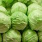 Cabbage(Jesmond Fruit Barn)