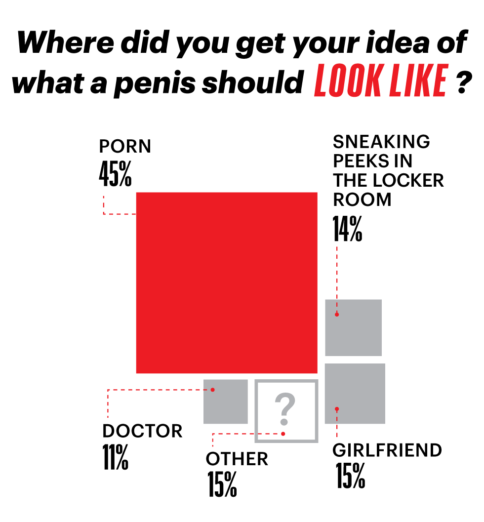 The State of the American Penis Survey