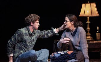 Review: Mary-Louise Parker in the Subliminal, Sublime 'Sound Inside'