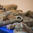 Smuggled ivory originating from Malawi was discovered in cargo boxes at the Bangkok airport in March 2017
