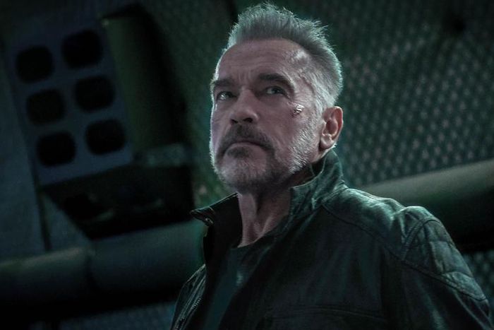 Arnold Reveals 'Terminator: Dark Fate' Trailer
