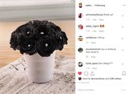 Black Roses posted by Nabbi