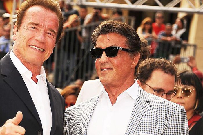 Sly Stallone Trolls Arnold Schwarzenegger on Insta