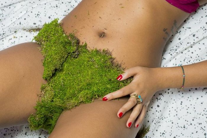 Mistakes to avoid when shaving pubes(bustle)