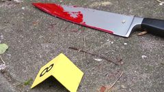 Woman asks court to forgive husband who stabbed her 17 times