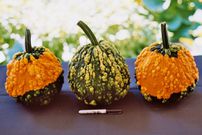 genital warts are sexually transmitted(outstandingseed)