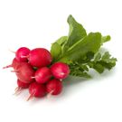 12 Best Types Of Greens And Lettuce To Add To Your Salad