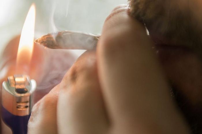 Weed May Be Worse Than Cigarettes for Sperm