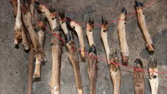 What Was Kept in This Stone Age Meat Locker? Bone Marrow