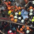 India's National Disaster Response Force help rescue a survivor from a collapsed building in Mumbai
