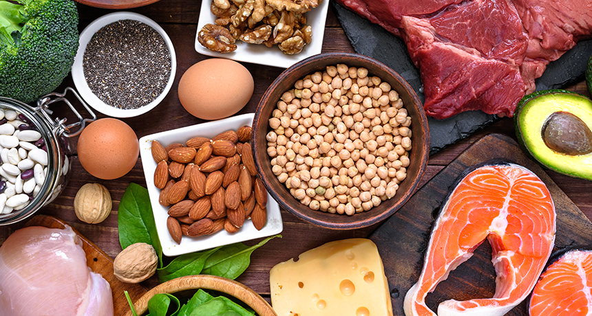 Protein-rich foods