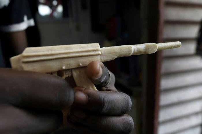 For city businesses wildlife may not be their first concern, but preserving the jungle and keeping elephants safe is an issue for flood-hit Lagos