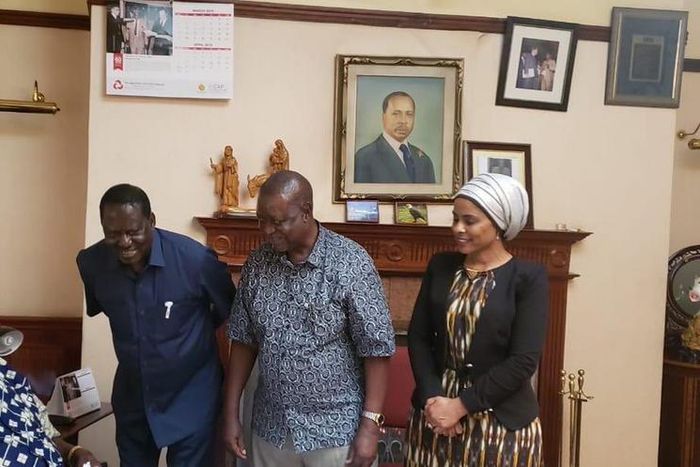 Former Prime Minister Raila Odinga when he visited Mzee Moi in Kabarak on May 5, 2019 (Twitter)