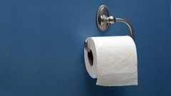 Toilet Paper roll (Courtesy)