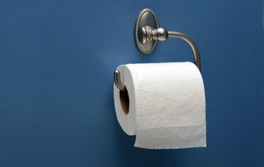 Toilet Paper roll (Courtesy)