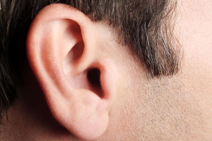 Dr. Pimple Popper Pops Whiteheads Back to Back