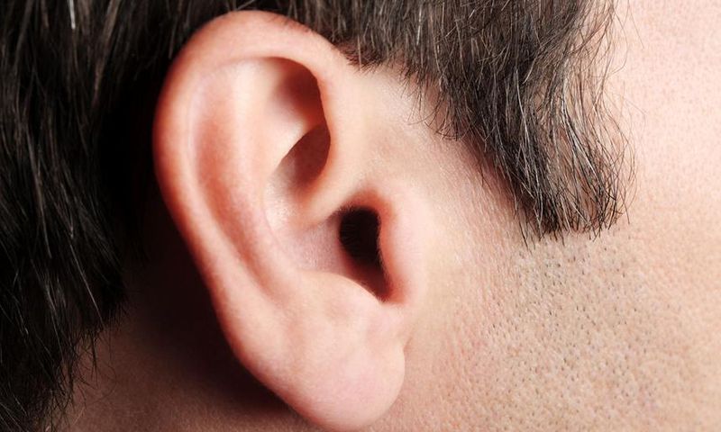 Dr. Pimple Popper Pops Whiteheads Back to Back