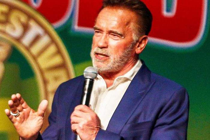 Arnie Shuts Down Sexist 'Terminator' Fan on Reddit