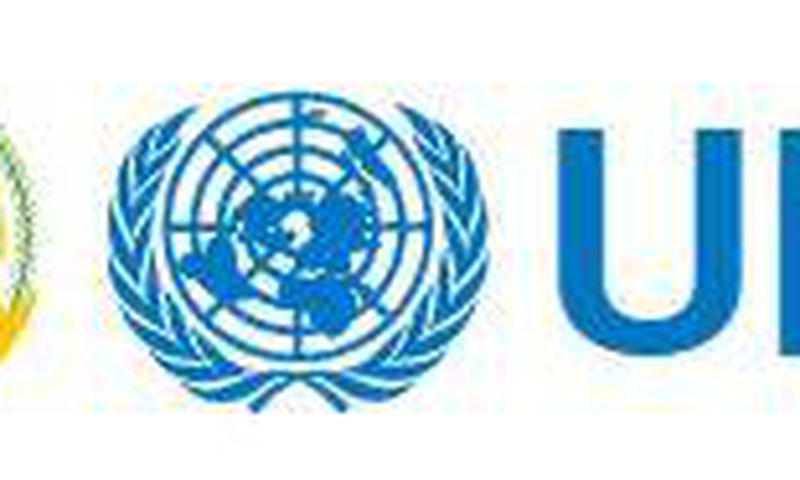African Union-United Nations Mission in Darfur (UNAMID)