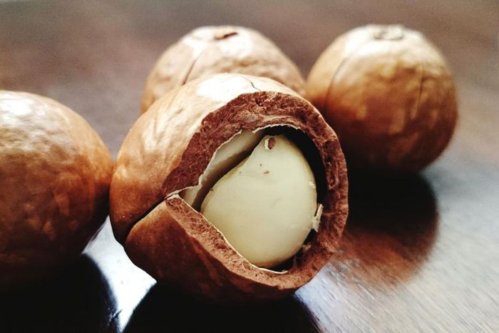 Dr. Pimple Popper Extracts a 'Macadamia Nut' Cyst