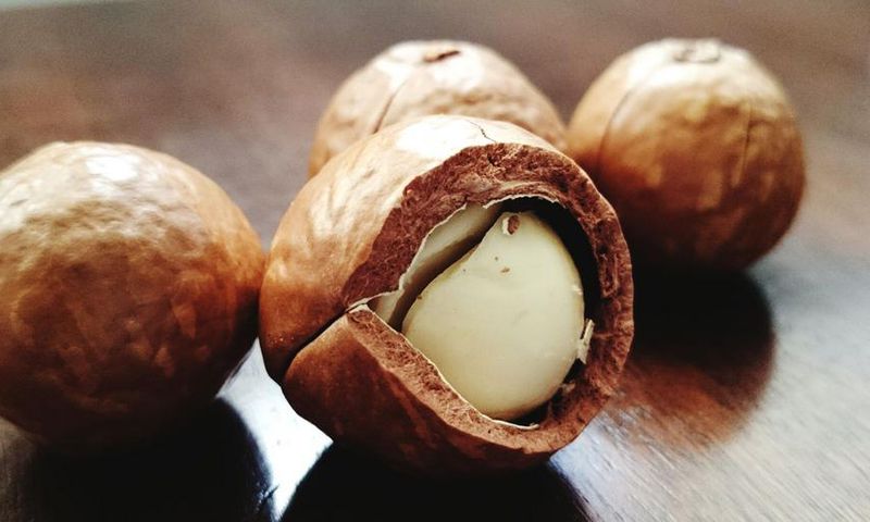 Dr. Pimple Popper Extracts a 'Macadamia Nut' Cyst