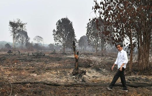 Indonesian President Joko Widodo inspects damage from forest fires in Pekanbaru, on Sulawesi island