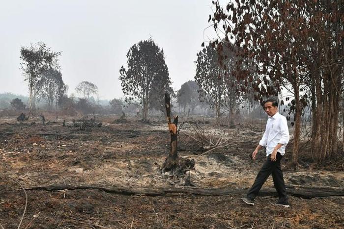 Indonesian President Joko Widodo inspects damage from forest fires in Pekanbaru, on Sulawesi island