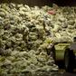 G20 leaders are set to endorse a deal on marine plastic pollution, but Japan's own record on waste is coming under the spotlight