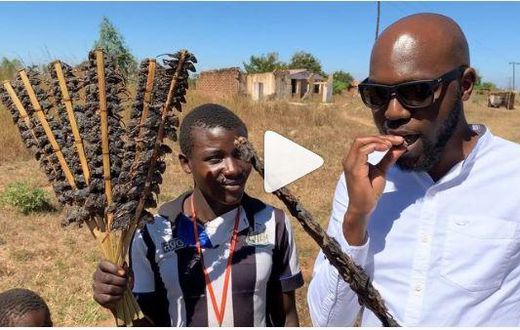 Larry Madowo eating Mouse