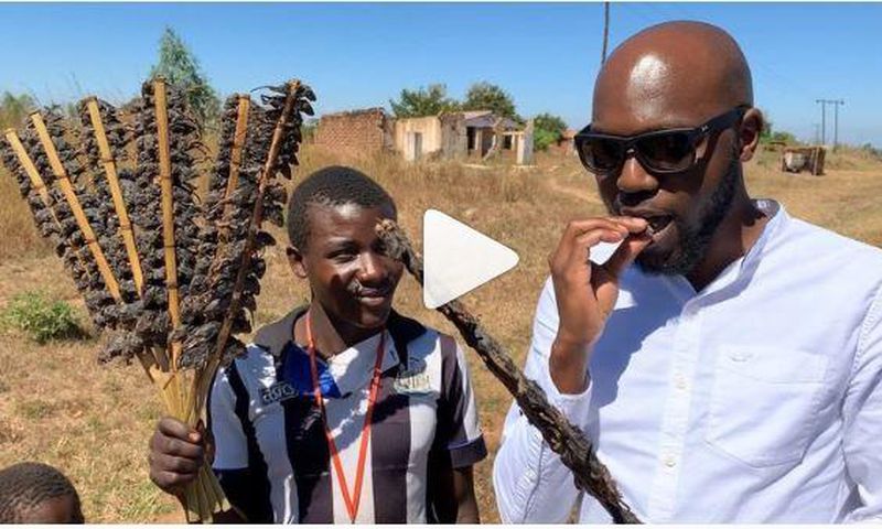 Larry Madowo eating Mouse