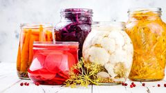 The Best Probiotics For Weight Loss