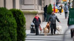 Park Avenue: Flowers and financiers, in the thick of it all